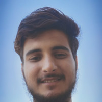 Mohammed  Wasif Pasha