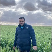 Mohamed EL kamash
