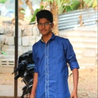 Gobi Krishnan J
