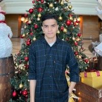 Tsaqif Y.