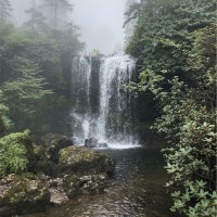 陈晓群