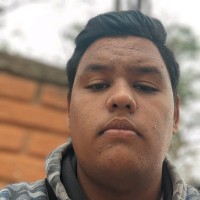 Phelipe Matheus Berteli Fernandes Pinto