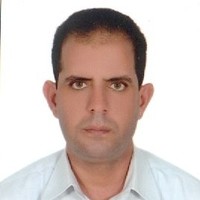 Nasr Elsherbini