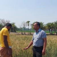 Md. Mustafa Khan, PhD (BSMRAU)