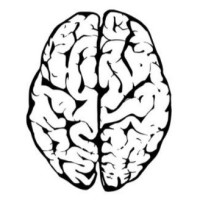 Sinirbilim Topluluğu