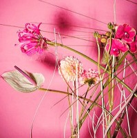 Anna Tagger