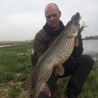 Cees Kater