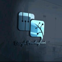 Bargh Pourhaghani
