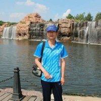 陈洪强