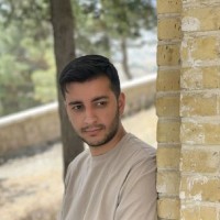 Mehrshad Semyari