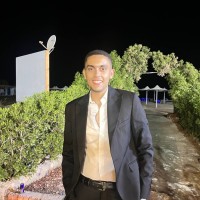 Ezz Eldeen Amer