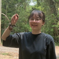 Tuệ Nghi Lâm
