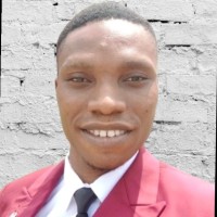 Promise Ibediogwu