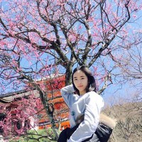 胡依依
