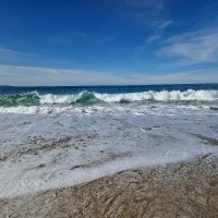 Javier Sánchez Recarey