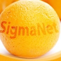 SigmaNet WebDesign