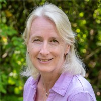 Suzanne Amrein