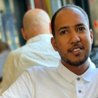 Mohi El-deen Gaily