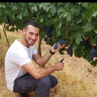 Ben Dgani