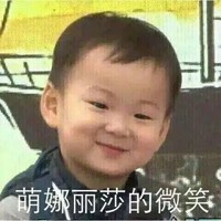 刘子鹏