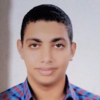 Yousef Emam