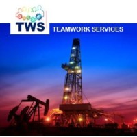 Teamwork Services