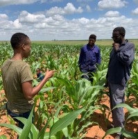 Pinkie Phatlane (Pr. Sci. Nat)