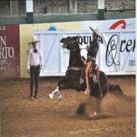 Mario De Leon