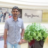 Saravanan Kandasamy