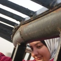 Hend Abdelhamid