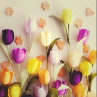 Doaa Emad