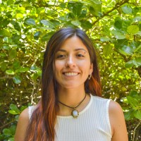 Constanza Urrutia Orellana