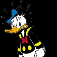 Donald Bringmann