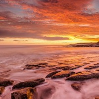 Sharon Page-Mann, RN ,BSN, MSML, HACP, CSSGB, CPICI-A