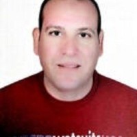 Mostafa Abdelaleem Mostafa