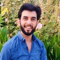 Haidar N. Salim