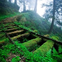 Mental Railroads