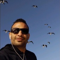 Mostafa Sedki
