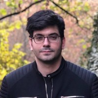 Saleem Najjar