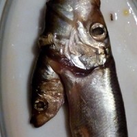 Мария Васильева