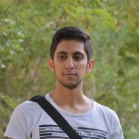 mohammad bashir salimiian