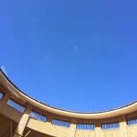 姜慧霞