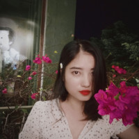 Anh Trinh