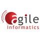 Agile Informatics
