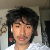 Roman Banawis Garcia Jr