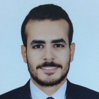 Mina Hany