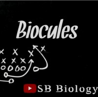 Biocules - Sb Biology
