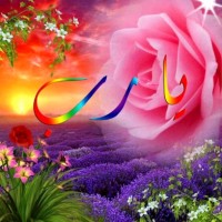 ياسر محمد