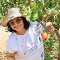 Maria Helena de Araújo
