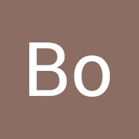 Bo Holm